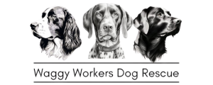 Waggy Workers Dog Rescue